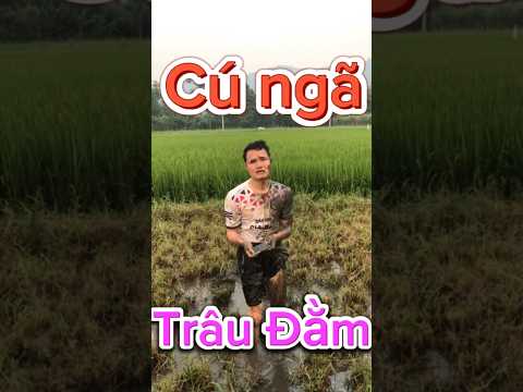 Hài CÚ NGÃ TRÂU ĐẰM hãy đăng ký kênh và theo dõi mình nhé . #haihuoc