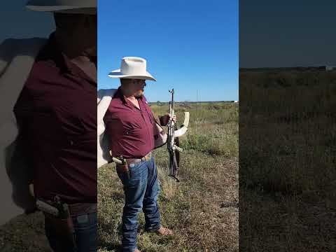 despues de limpear armas una calada para asegurar su funcion, colt 38 super taurus 45 colt 22 ak47