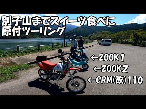 新居浜市別子山ツーリング　噂のジェラテリアへジェラート食べに原付ツーリング(イヤホン推奨)