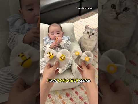 kejutan untuk Milo & Dede bayi🥳😻🥰 #kucing #kucingmilo