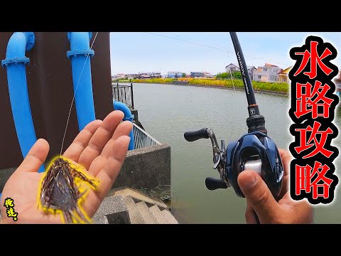 ６月のクリークはこのルアーが釣れる！【梅雨】