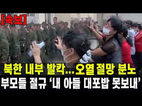[속보] 북한 내부 발칵 뒤집혔다  '오열 절망 분노'...특수부대원 부모들 절규 "내 아들 대포밥 못 보내"