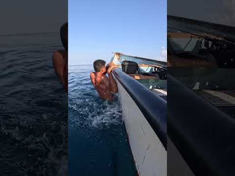 ا انقذت سمكة من الغرق !! 😱وهنغرق احنا 😂🤣 #alldayfishing