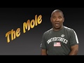 Understanding the Mole in Chemistry