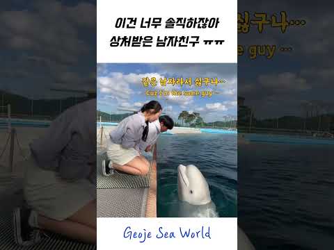 벨루가는 너무 솔직해 ㅋㅋㅋㅋㅋㅋㅋ