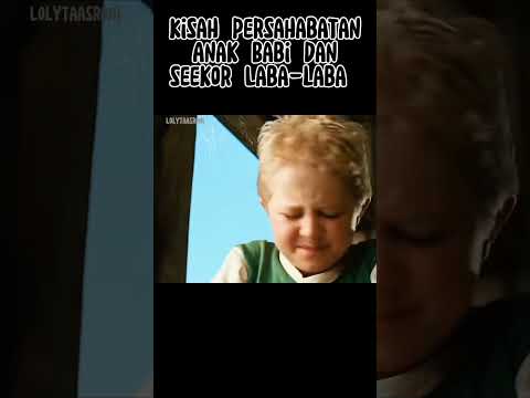 Kisah persahabatan Anak babi dan seekor laba-laba