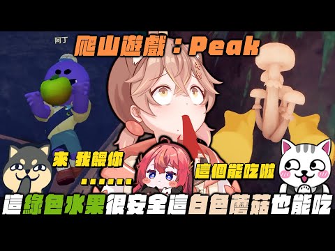 【杏仁ミルPEAK精華】香菇可以吃！這個綠色果實也很安全！ft. @dingding248 @MiMiLucky0730 @nein1203
