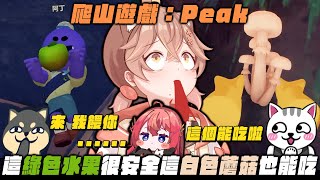【杏仁ミルPEAK精華】香菇可以吃！這個綠色果實也很安全！ft. @dingding248 @MiMiLucky0730 @nein1203