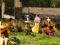 Day of the Dead Festival in Mexico