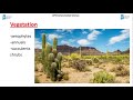 Biomes and Their Adaptations