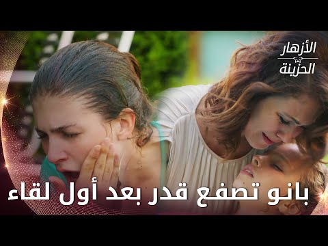 بانو تصفع قدر بعد أول لقاء  -  الحلقة 33 - الأزهار الحزينة - Kırgın Çiçekler