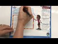 Basic Multiplication and Visualization Problems