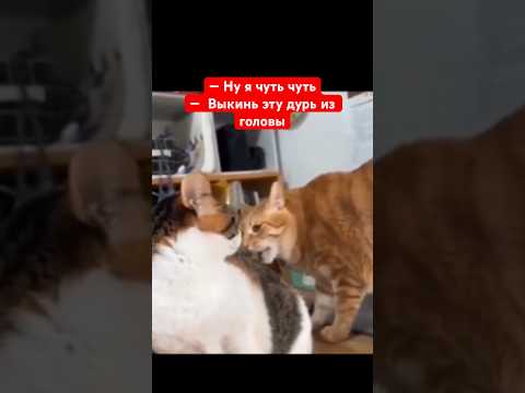 — Ну я чуть чуть —  Выкинь эту дурь из головы