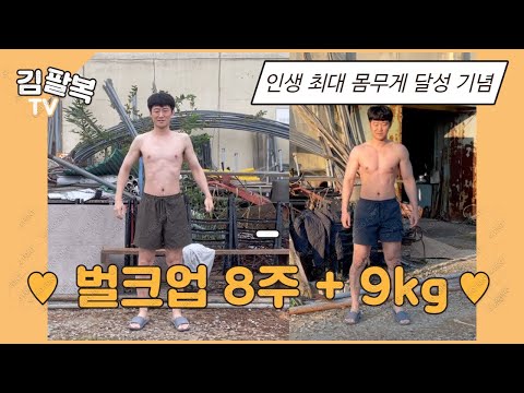 벌크업 체중 9kg 증가 - 홈트 8주 [운동일기]