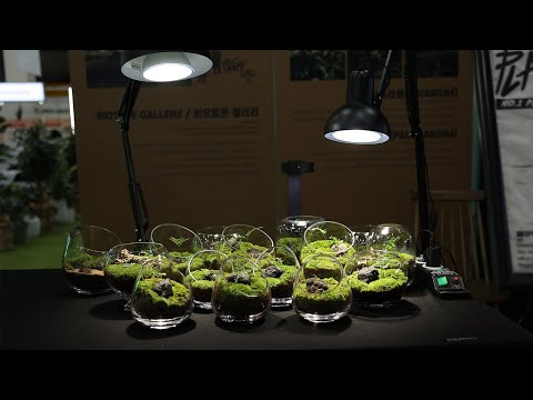 미니 테라리움 만들어서 팔기 | Make and sell mini terrariums