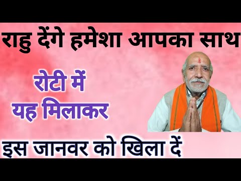 राहु से पीड़ा कभी नहीं आएगी 👆रोटी में यह मिलाकर इस जानवर को खिलाएं ।