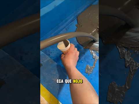 Ela Pensou Que Era Cocô de Pomba… Então Isso Aconteceu! 🤢🍫!! #shorts