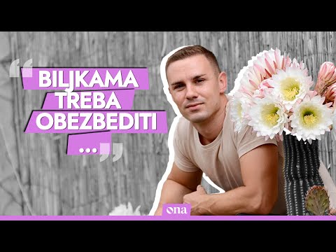 "Zašto mi kaktus ne cveta?" Ima jedna caka: Milan objašnjava kako da negujete bodljikave lepotane