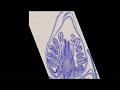 Microscope Slide Preparation Techniques
