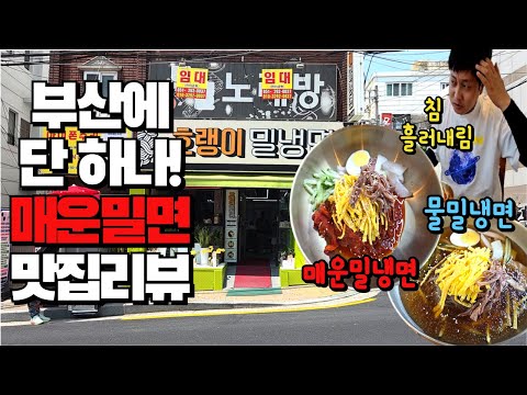 부산에 매운밀면 잘 하는 집 찾기 어렵습니다 여긴 곱빼기가 무료 많이 달라하세요~