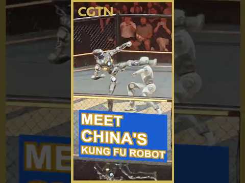 Bruce Lee's low kick, executed by humanoids