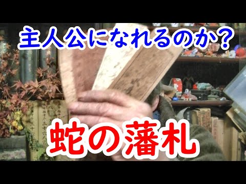 【藩札】来年の干支は蛇！！蛇の藩札はあるのか！？