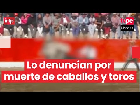 Cusco: abren investigación contra alcalde de Chumbivilcas por presunta crueldad animal