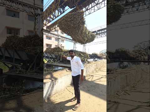 இவ்வளவு இருக்கா சர்க்கரை ஆலையில்😱MRK சர்க்கரை ஆலை..சேத்தியாதோப்பு