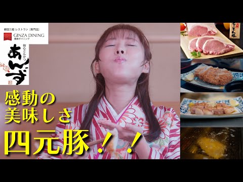 【銀座三越　GINZAダイニング】『ようこそ、銀座三越！三つの山を越えるレストラン』和心とんかつ　あんず　銀座店