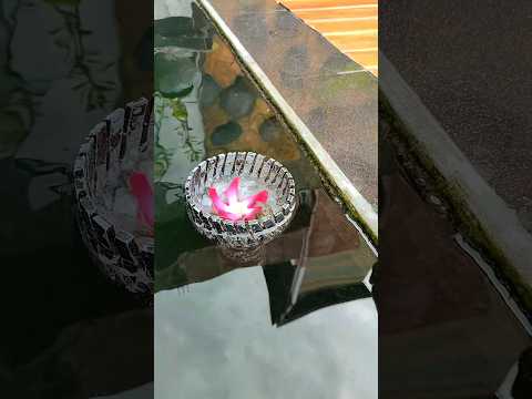 Diy Whirlpool Super Water Tornado