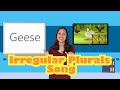 Plural Forms of Nouns