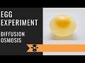 Understanding Diffusion, Osmosis, and Solutions