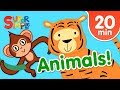 Animal Movement and Mimicry