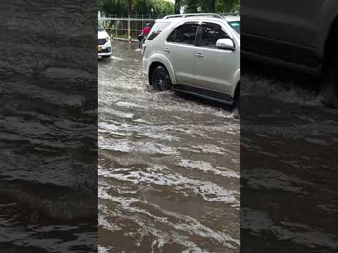 Sài Gòn ngày 3/102025