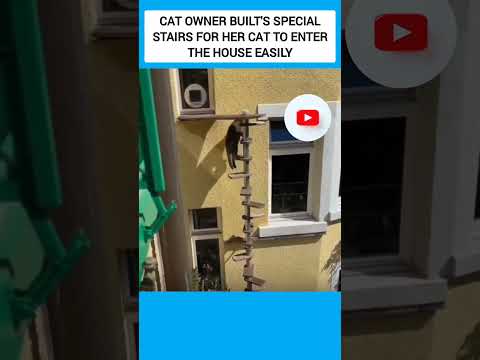 CAT OWNER BUILT'S SPECIAL STAIRS FOR HER CAT TO ENTER THE HOUSE EASILY #shorts