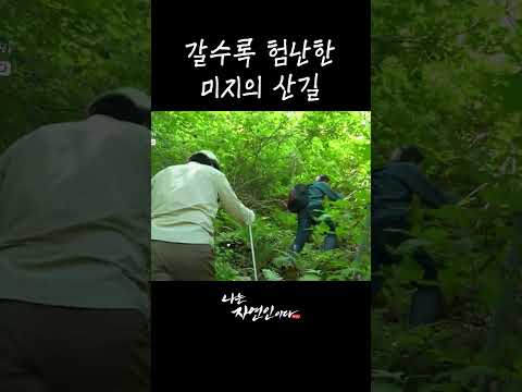 갈수록 험난한 미지의 <strong>산길</strong> #shorts