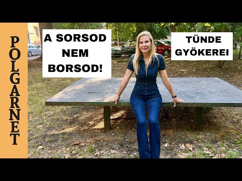 KITÖRHETSZ BORSODBÓL, DE NEM TÖRÖLHETED KI MAGADBÓL! A SORSOD BORSOD? - TÜNDE GYÖKEREI 4K Polgarnet