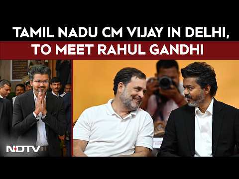Vijay Rahul Gandhi Meet | Tamil Nadu CM Vijay Arrives In Delhi, To Meet The Gandhis