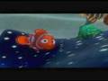 Nemo's Exploration and Reactions