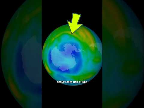 What Really Happened to the Ozone Layer