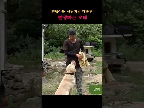 댕댕이를 사람처럼 대할 때 생기는 오해