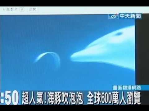 超人氣！海豚吹泡泡 全球6百萬人瀏覽 - YouTube