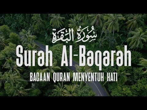 Surah Al Baqarah Dengan Suara Indah Membuat Hati Tenang | Erwiyanto