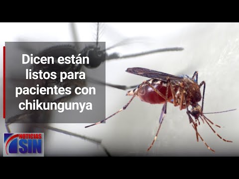 #EmisiónEstelarSIN: Chikungunya, Abinader y vertedero