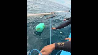 Surga Tebingan Arus Lombok Tersembunyi 🌴🌊