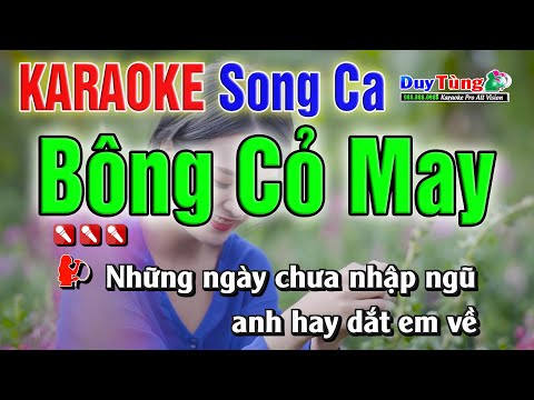 Karaoke || Bông Cỏ May – Song Ca || Nhạc Sống Duy Tùng