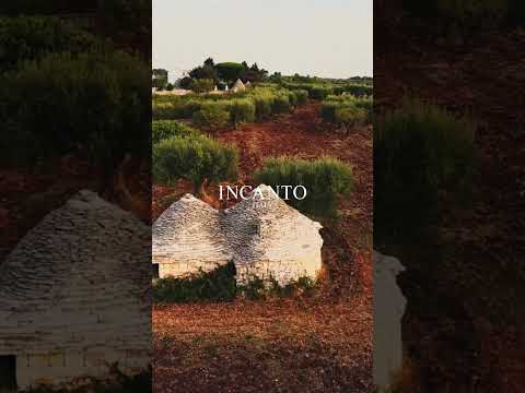 Basic INCANTO Collection #incantoofficial