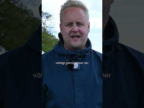 Vad får jag för min elnätsavgift?