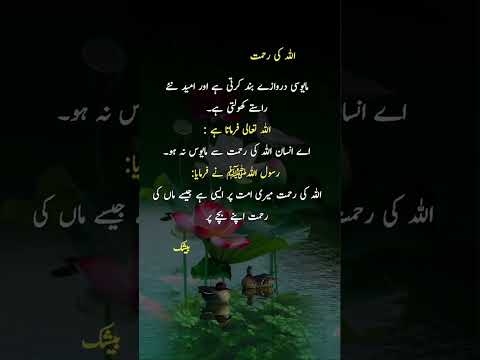 #quotes #poetry #motivation #aqwalezareen #4line #love #shorts