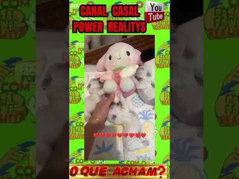 FILHOTES DE POODLE MAMANDO #casalpowerrealitys #amoraosanimais